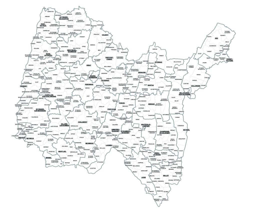 Carte des cantons (<2014)